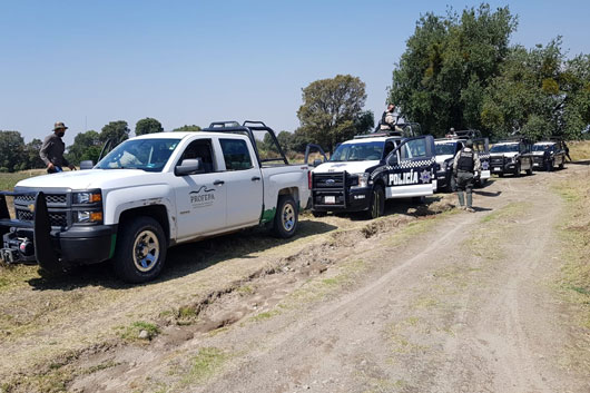 Autoridades federales y estatales realizan operativo para combatir delitos ambientales