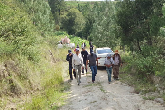 Estrangulamiento, causa de muerte de hombre de origen alemán: PGJE