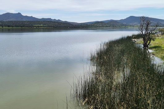 Trabaja SMA con dependencias federales y estatales para la atención de la laguna de Atlangatepec