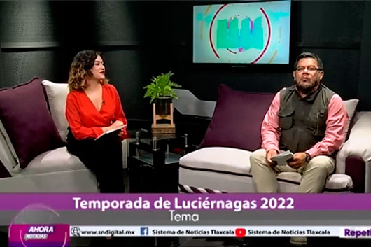 Temporada de Luciérnagas 2022