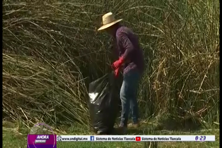 Se realiza Jornada de Saneamiento en la Laguna de Acuitlapilco