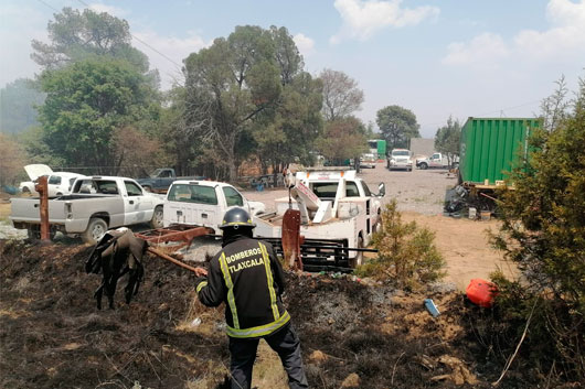 Atiende bomberos de la SSC llamado de emergencia del 911