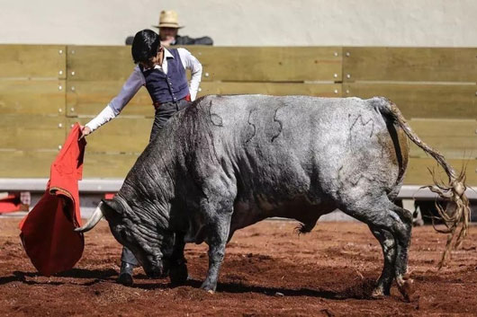 Representará Marco Peláez a Tlaxcala en “Encuentro Mundial de Escuelas Taurinas”