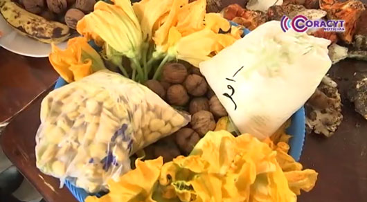 Productores de Teolocholco mejoran calidad de nueces de castilla con prácticas sostenibles