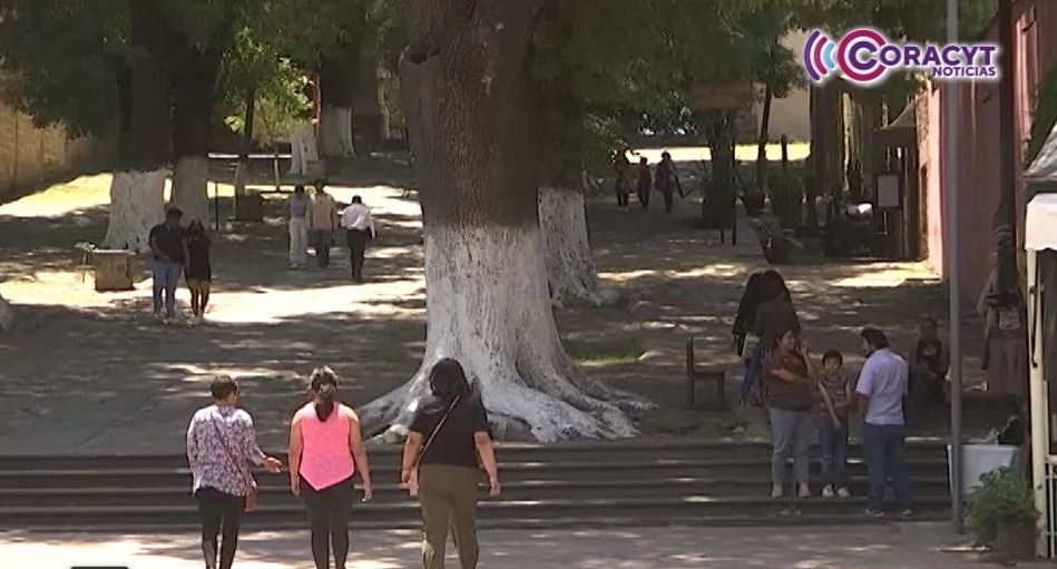 Las vacaciones son una oportunidad de convivencia familiar