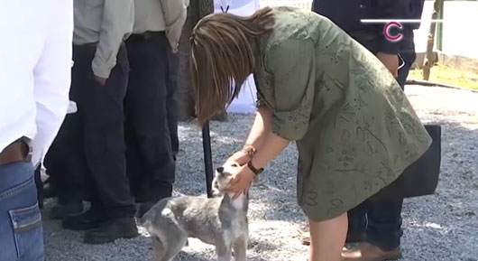 Brindan tlaxcaltecas un hogar seguro a animales abandonados