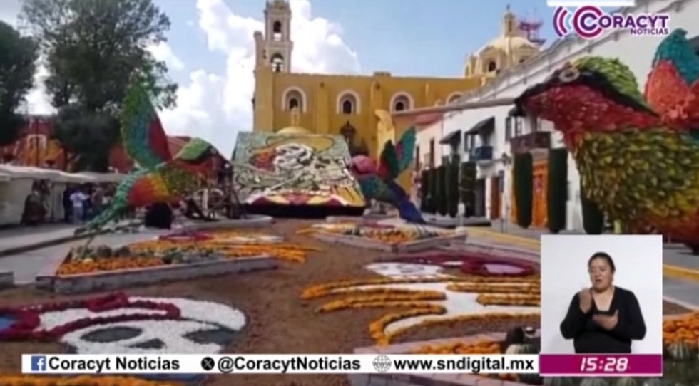 Visita el festival 