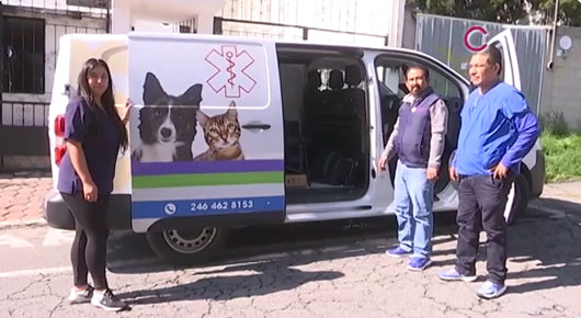 Trabaja CEAM en marco normativo para regular acciones de médicos veterinarios