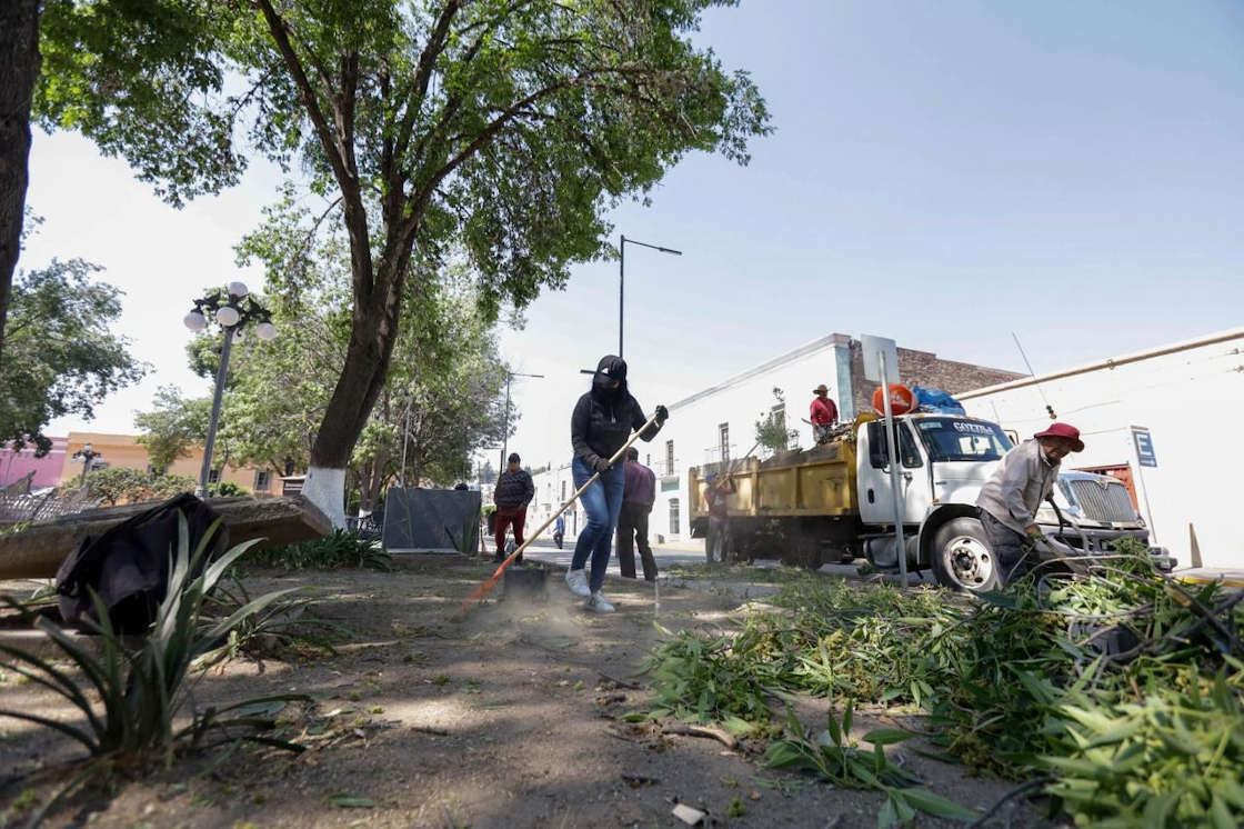 El Ayuntamiento de Tlaxcala responde a la ciudadanía: Inicia labores de poda y mantenimiento en el Boulevard Revolución