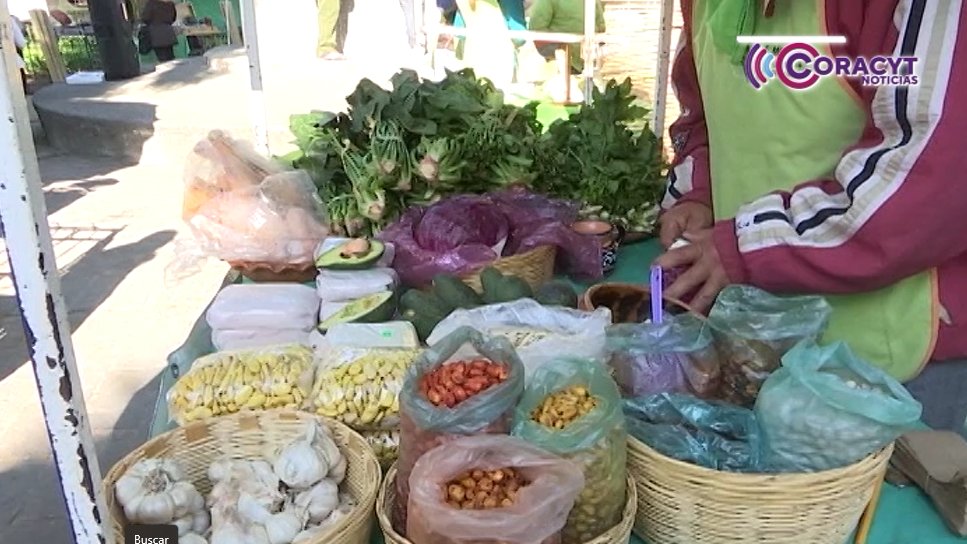 Tlaxcaltecas aún utilizan los remedios caseros para el tratamiento de enfermedades