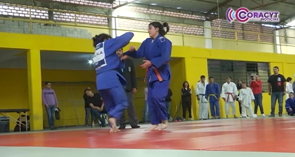 Lograron 14 judocas el pase al Macroregional de Judo